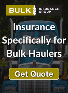 Bulk Insurance Group