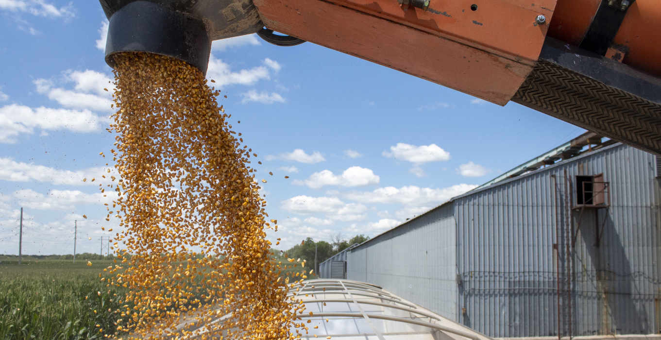 The Largest Bulk Freight Marketplace